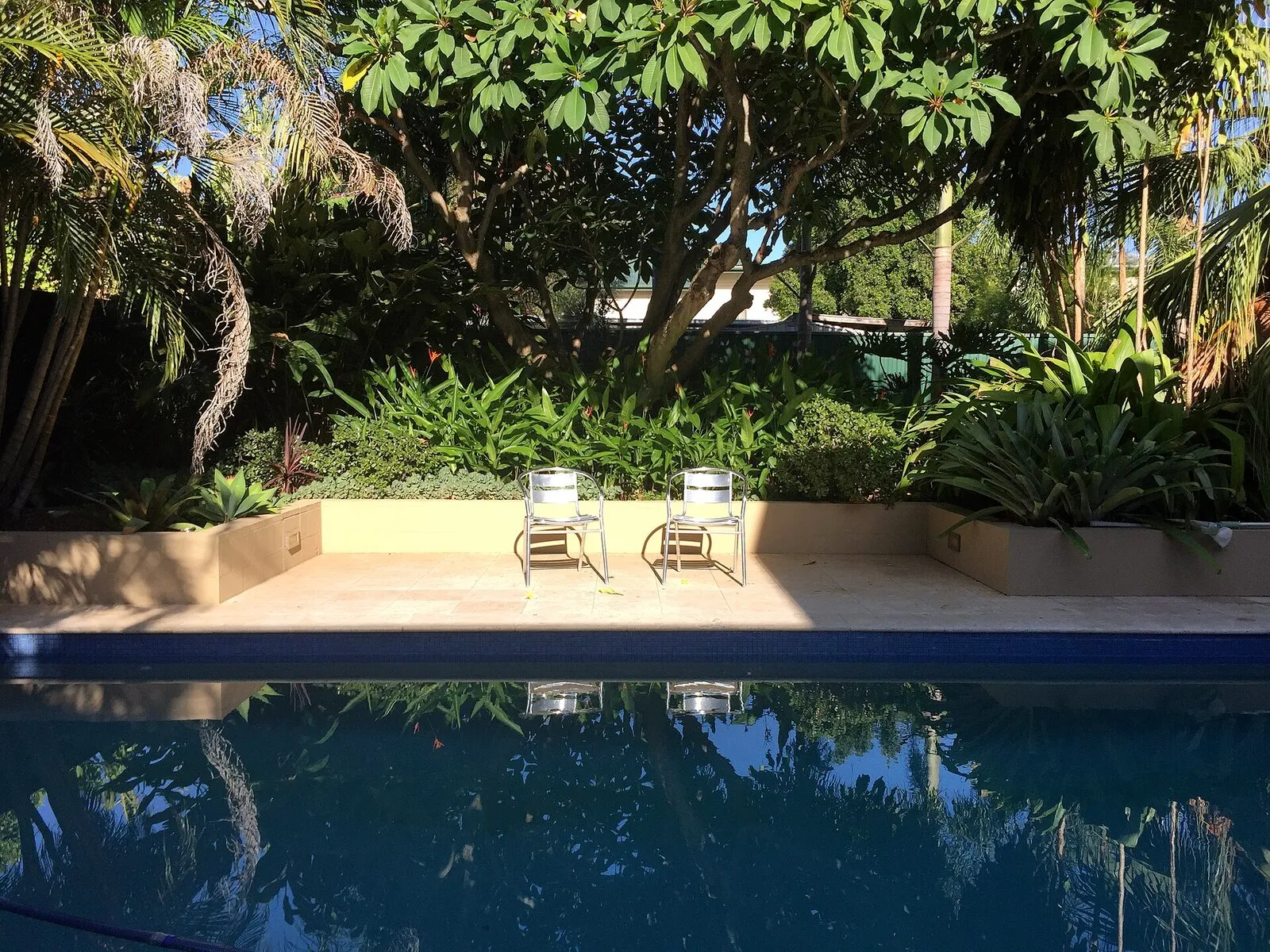 Piscina interrata in un giardino con palme e piante tropicali, due sedie sul bordo che si riflettono nell’acqua